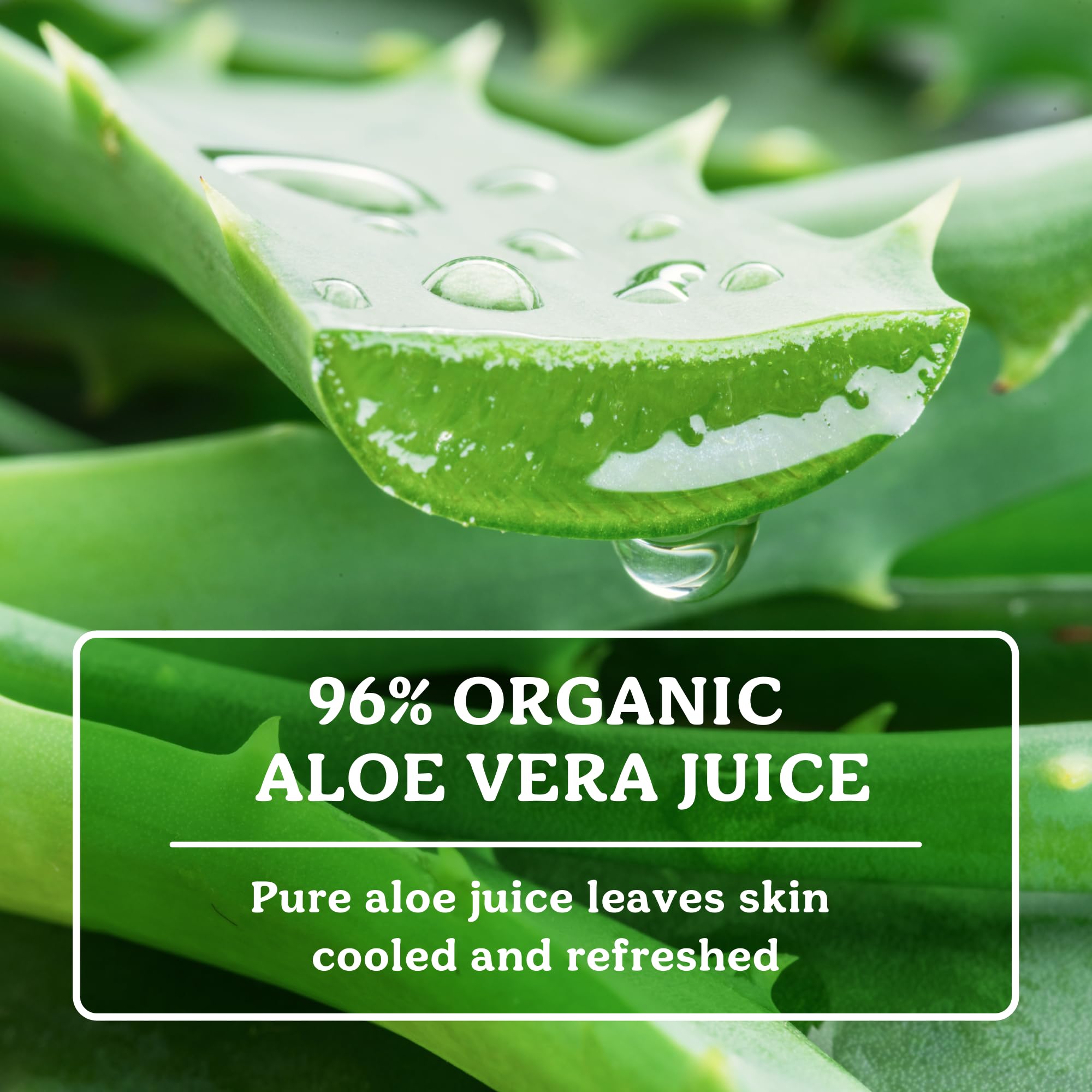Amazon.com : Badger Organic Aloe Vera Gel for Face & Body, 96% Pure  Unscented Organic Aloe Gel for Cooling, Soothing, Non-Sticky Sunburn  Relief, Vegan, Fair Trade & Hypoallergenic, 4 fl oz :