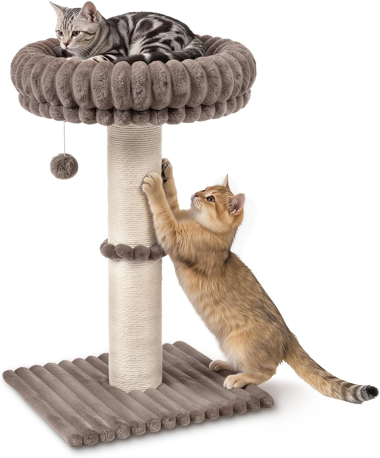 Avont 28.7" Sisal Cat Scratching Post with Large Plush Perch, Taupe | Large Cat Scratcher Tower & Plush Elevated Cat Bed with Removable & Washable Cover, Sturdy Cat Perch for Indoor Cats