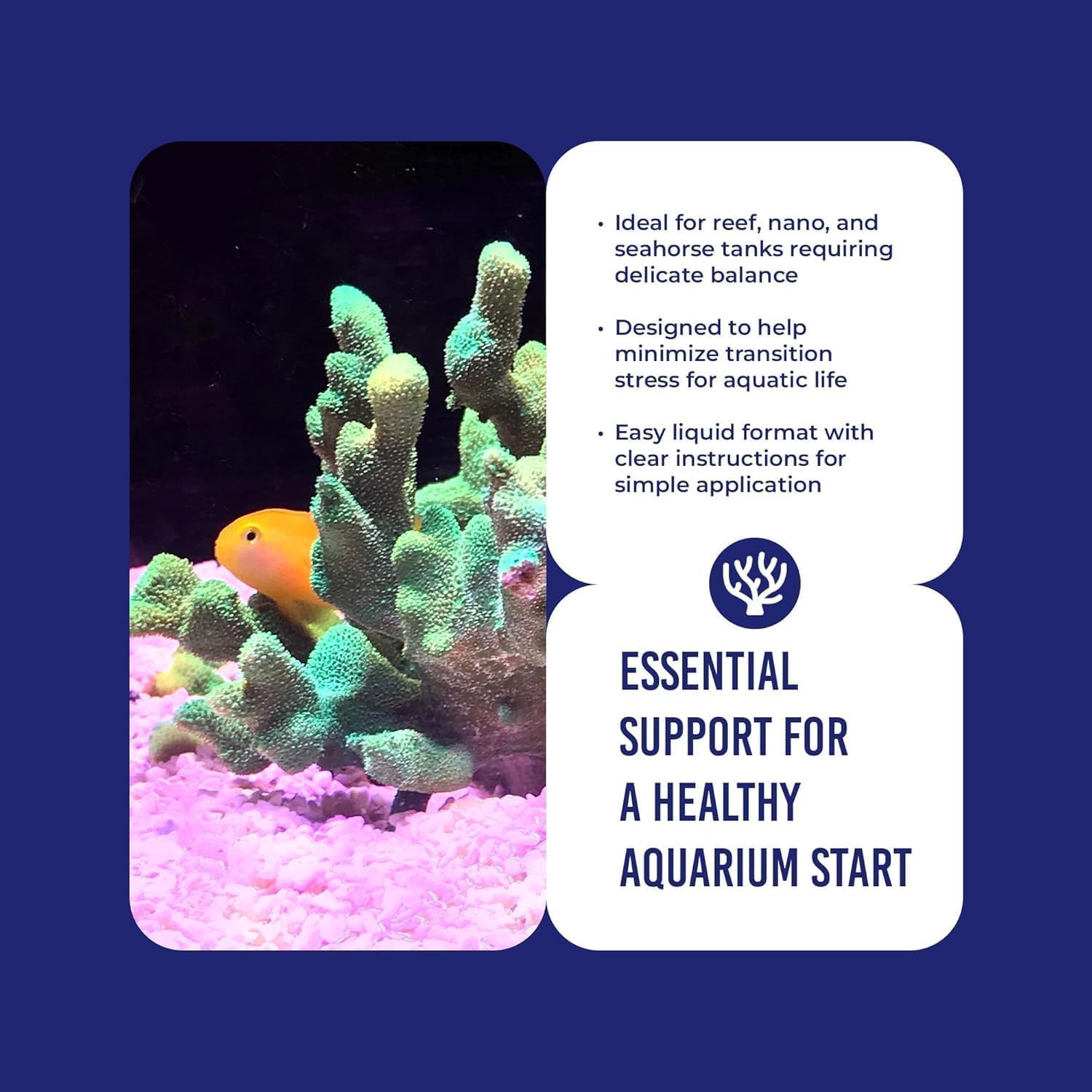 Dr Tim's Aquatics Jedyne w swoim rodzaju bakterie nitryfikujące w słonej wodzie – do nowych zbiorników rybnych, akwariów, filtrowania wody, leczenia chorób - H20 Pure Fish Tank Cleaner - usuwa toksyny