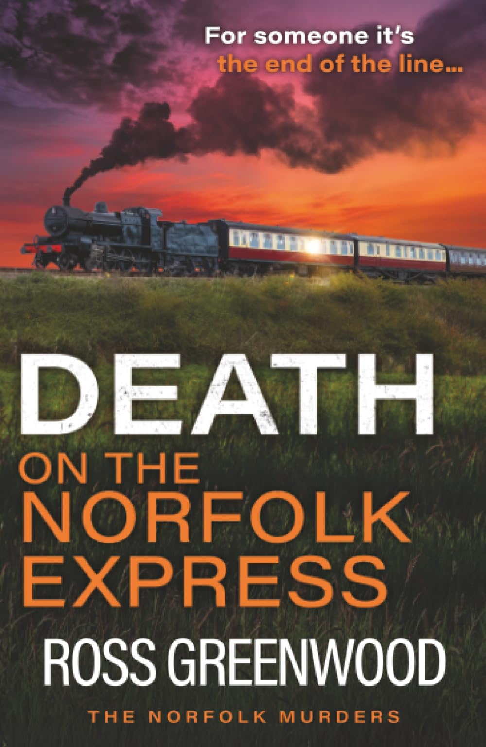 Death on the Norfolk Express: The BRAND NEW chilling crime thriller of murder, suspense and a race against time for 2026 (The Norfolk Murders, 6)