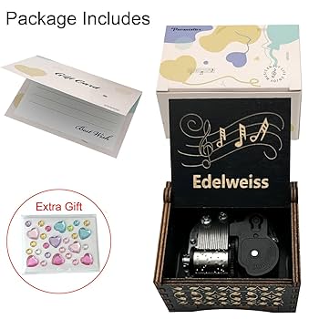 国内盤！D-i-y: Rise Of The Independent Music Amazon.com: Pursuestar Edelweiss Wind Up Music Box, Vintage