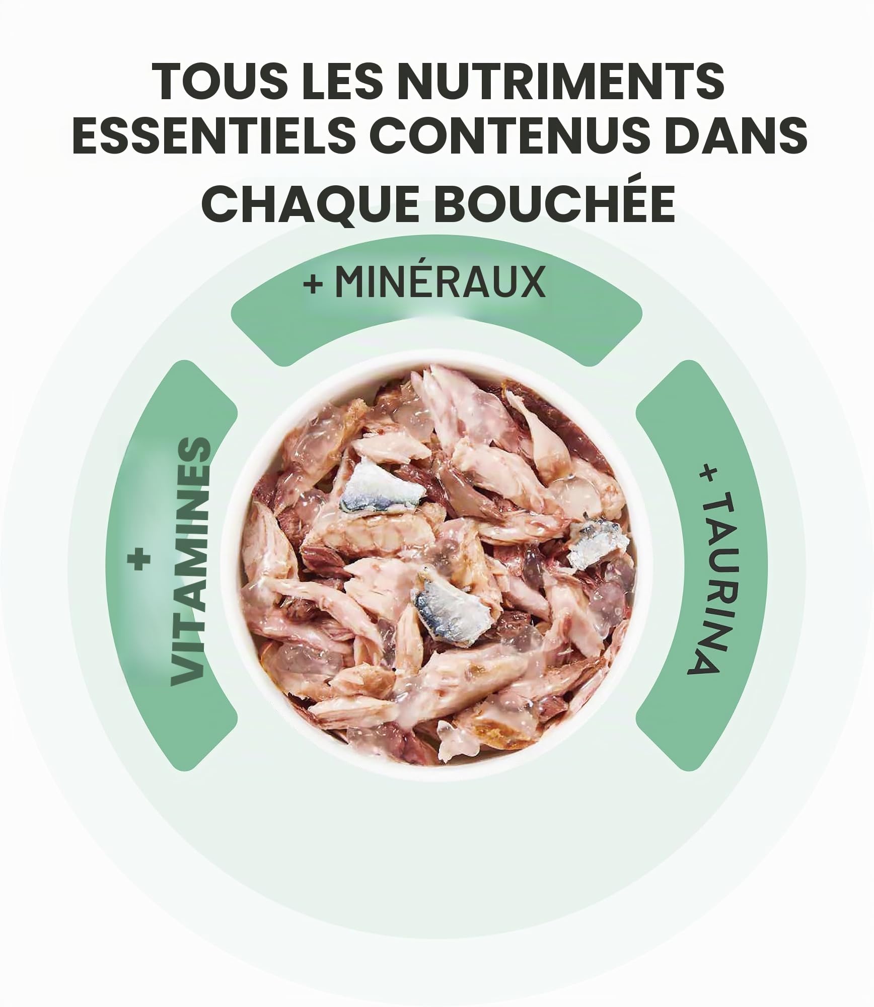 Schesir, Thon avec alicette en Bouillon, Nourriture Humide complète pour Chats, en Conserve, avec des vitamines supplémentaires, 100% Naturel, 6 x 85 g