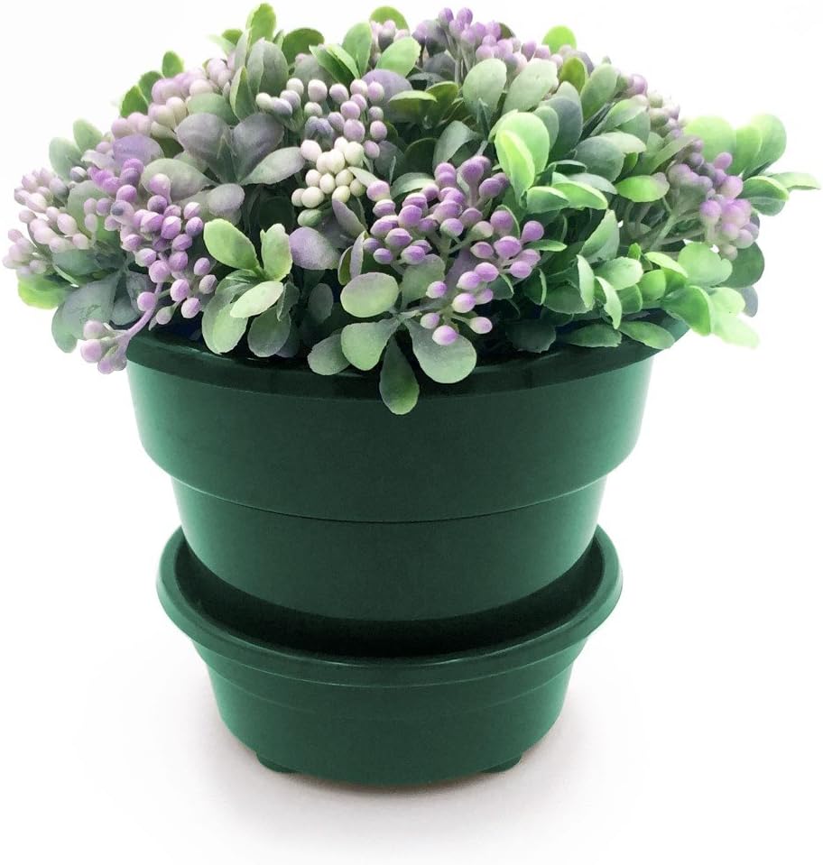 6" Self Watering + Self Aerating High Drainage Deep Reservoir Round Planter Pot Maintains Healthy Roots and Moisture, for Indoor & Outdoor & Window Gardens (6 Inch / 1.5 Quart, Green)