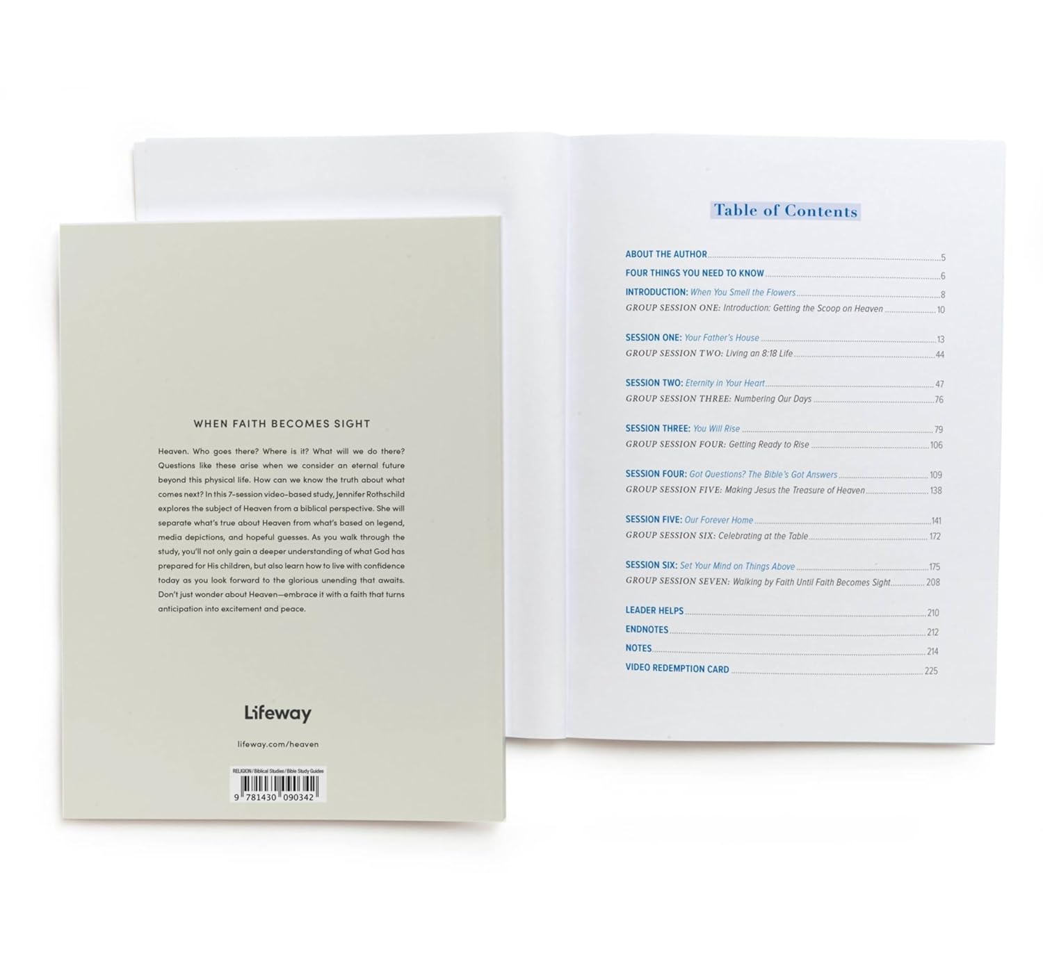 Heaven - Bible Study for Women with Video Access: When Faith Becomes Sight      Paperback – January 2, 2025
