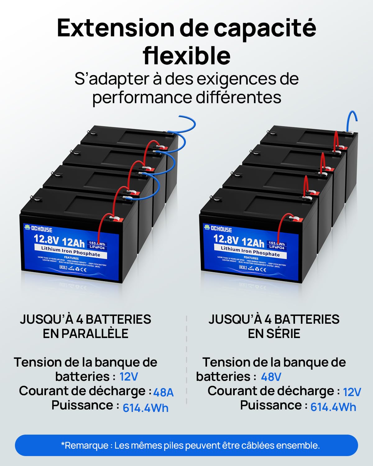 DCHOUSE Batterie au Lithium 12V 12Ah Lifepo4, Connecteur Câbles et Port CC | Batterie Lifepo4 Rechargeable de Plus de 4000 Cycles avec BMS 15A pour Bateau, Jouet à Enfourcher