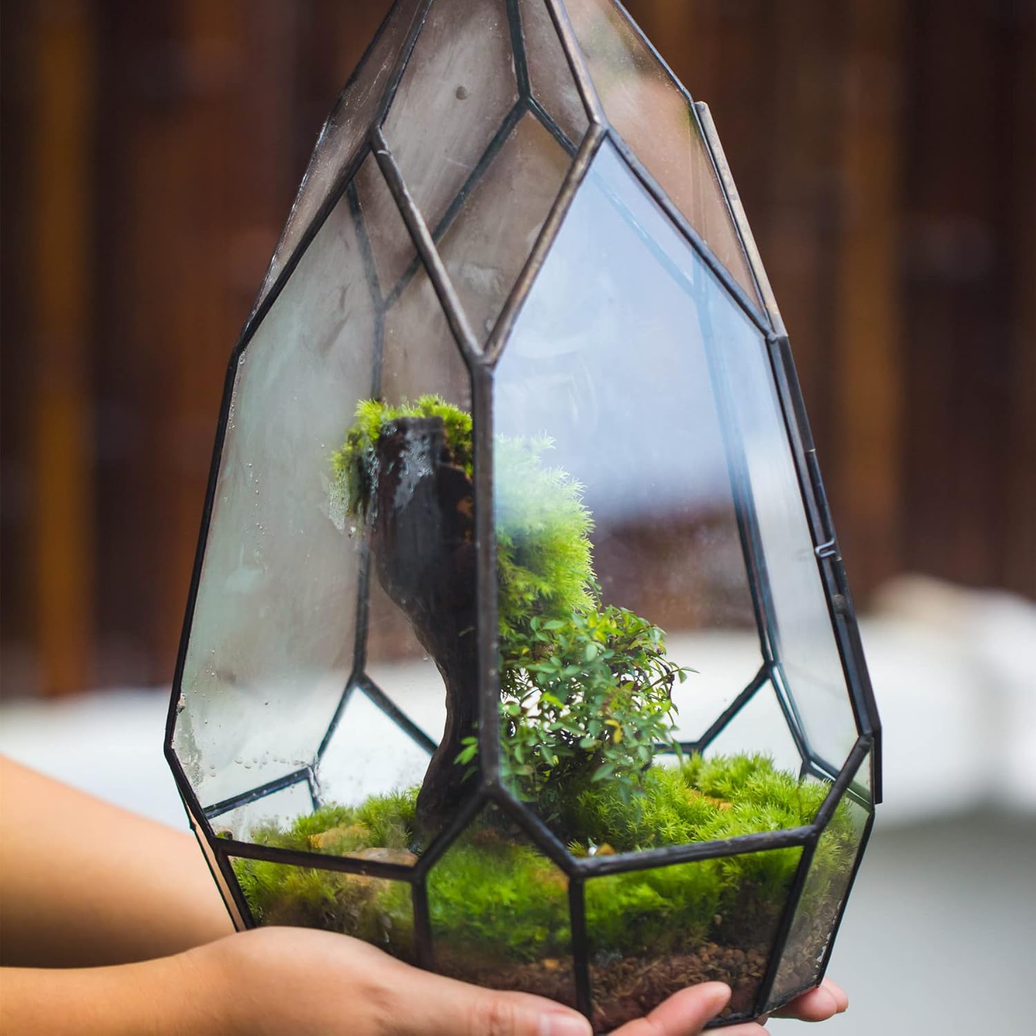 NCYP Modern Black Glass Geometric Terrarium Container with Door - Balcony Planter DIY Display Flower Pot for Succulent Fern - Tabletop Miniature Botanical Fairy Garden (No Plants)