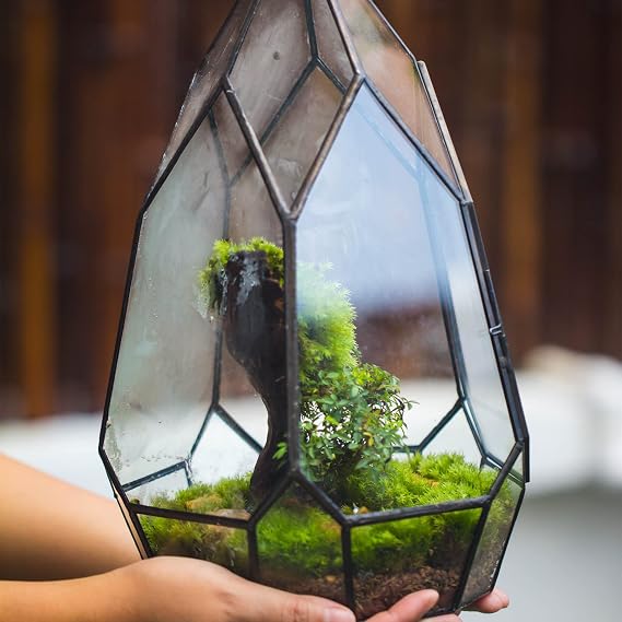 NCYP Black Glass Geometric Terrarium Container with Door - Balcony Planter DIY Display Flower Pot for Succulent Fern - Tabletop Miniature Botanical Fairy Garden (No Plants) 12.2 Height, 7.1 Width