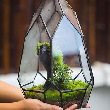 NCYP Black Glass Geometric Terrarium Container with Door - Balcony Planter DIY Display Flower Pot for Succulent Fern - Tabletop Miniature Botanical Fairy Garden (No Plants) 12.2 Height, 7.1 Width