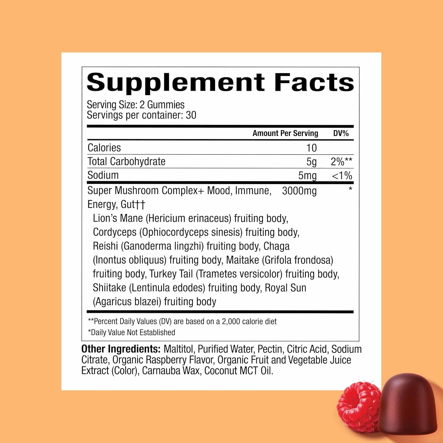 Plant People WonderDay & WonderSleep Mushroom Gummies Bundle – Daily Energy, Mood & Immune Support + Nighttime Sleep & Relaxation – Vegan - 60 Count Each