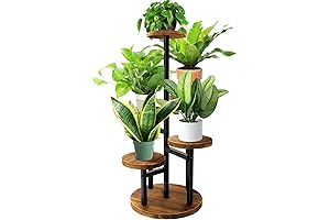 TDZWIN Plant Stand: 5-Tier Indoor/Outdoor Corner Shelf for Plants and Flowers