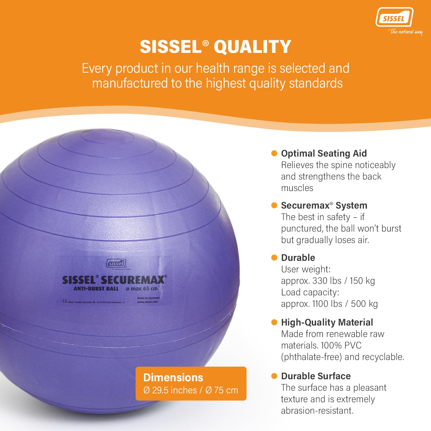 SISSEL Securemax - Palla Svizzera Unisex Adulto