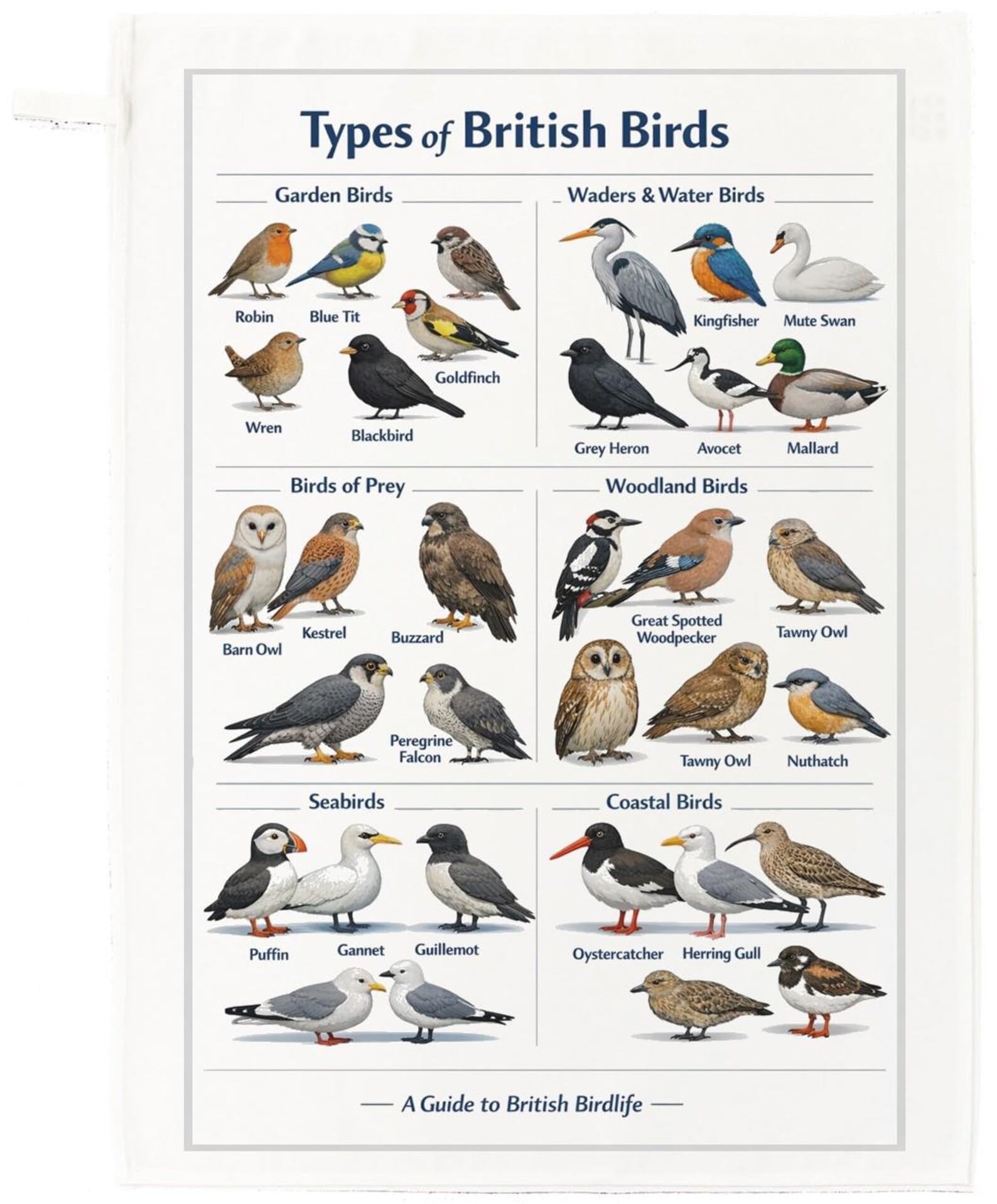 Half a Donkey British Birds cotton tea towel