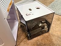 Review Image by Daniel Wang Daniel Wang