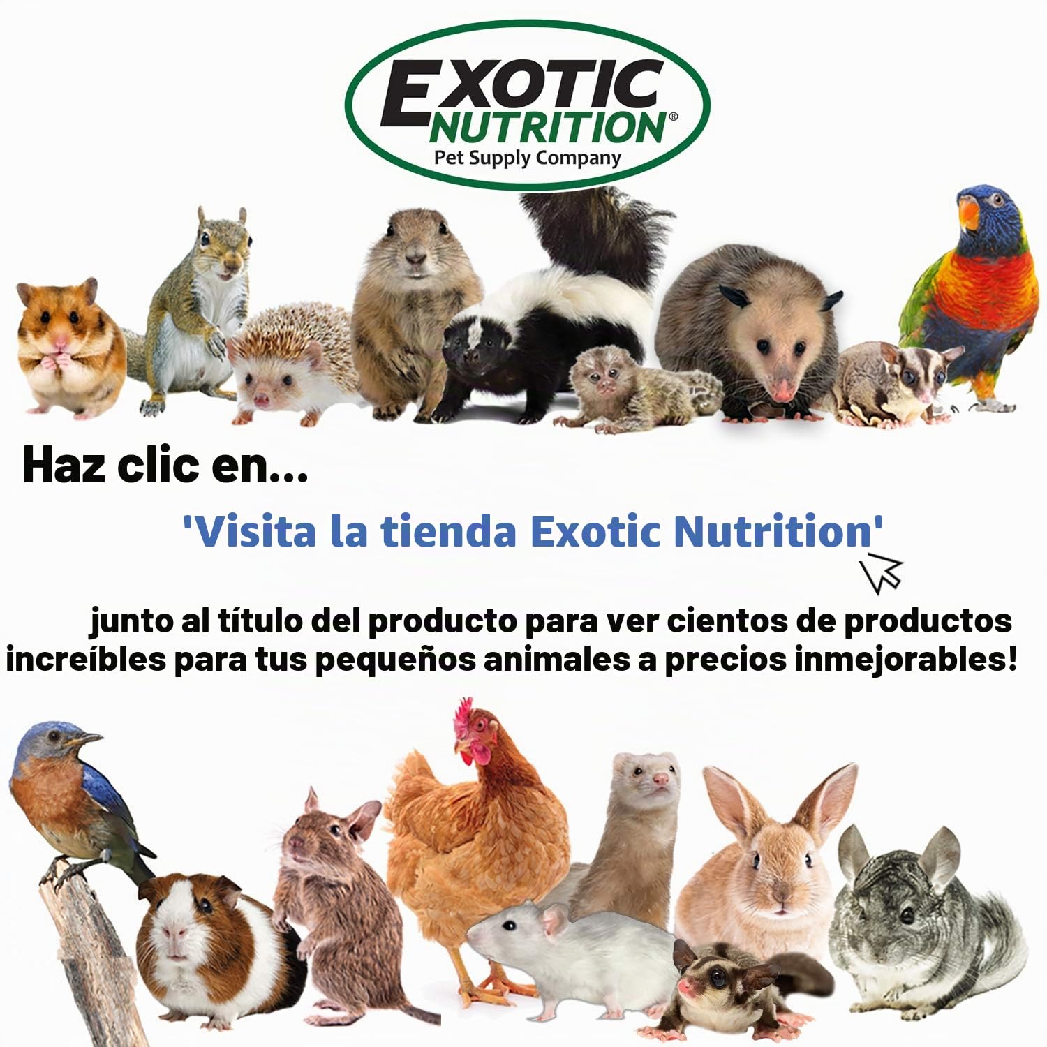 Exotic Nutrition Silencioso Runner de 30.5 cm | Rueda de Ejercicio Sugar Glider