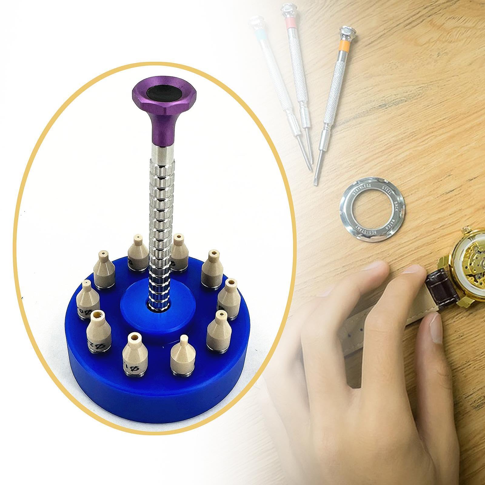 Set di Utensili manuali di precisione per orologiai (Blueg)