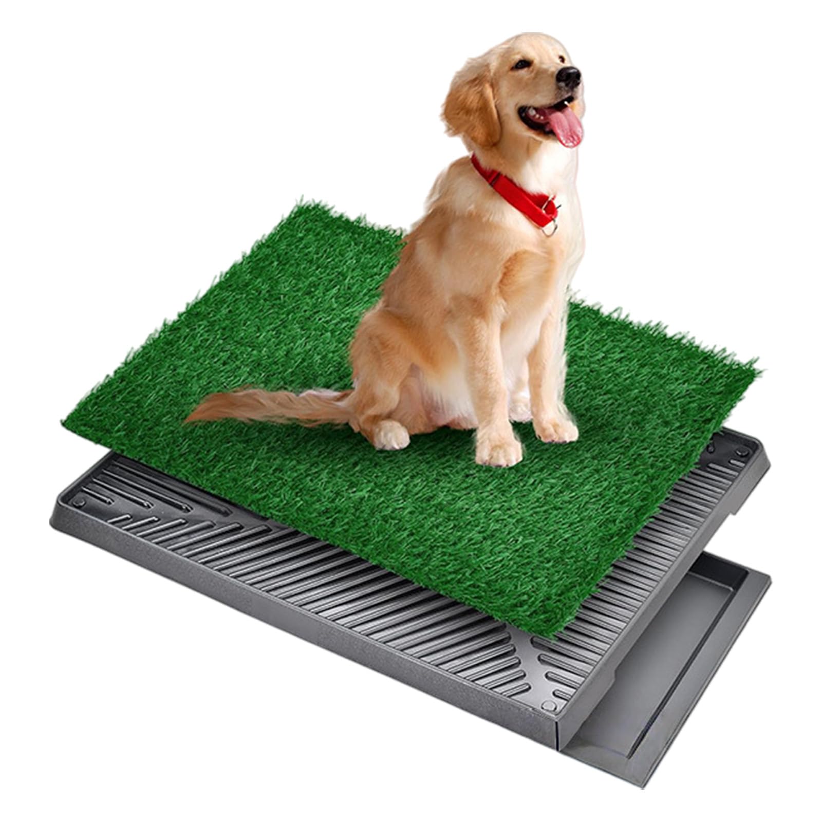 Tapis de propreté pour chiots avec bac anti-fuite et tapis d'herbe dans divers entraînements, aide à nettoyer facilement les herbes