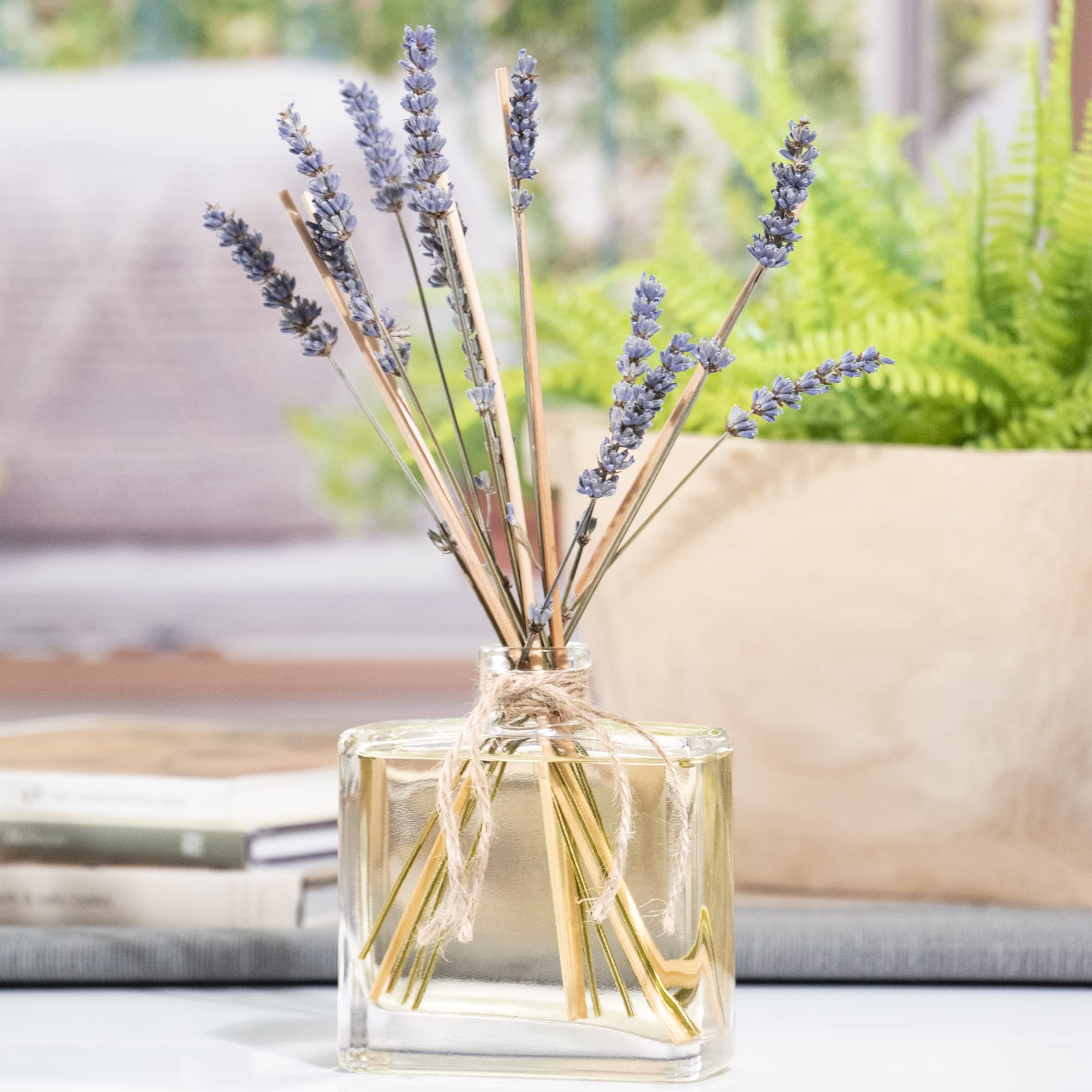 De La Terre Floral Stem Fragrance Reed Diffuser with Natural Dried Stems (French Lavender)