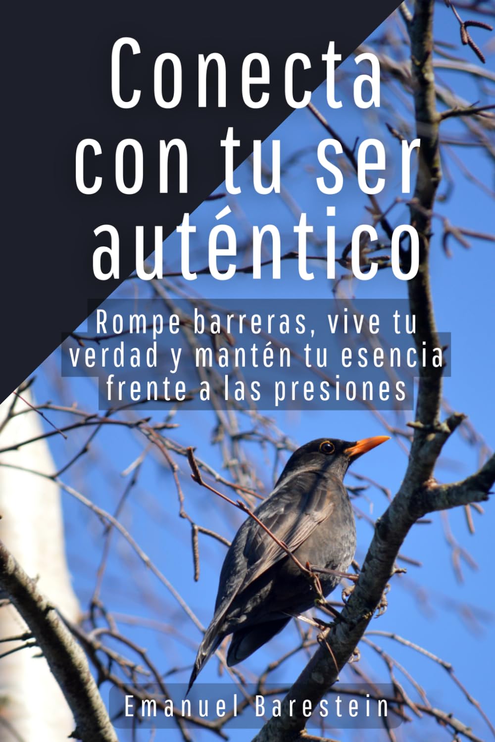 Conecta con tu ser auténtico: Rompe barreras, vive tu verdad y mantén tu esencia frente a las presiones