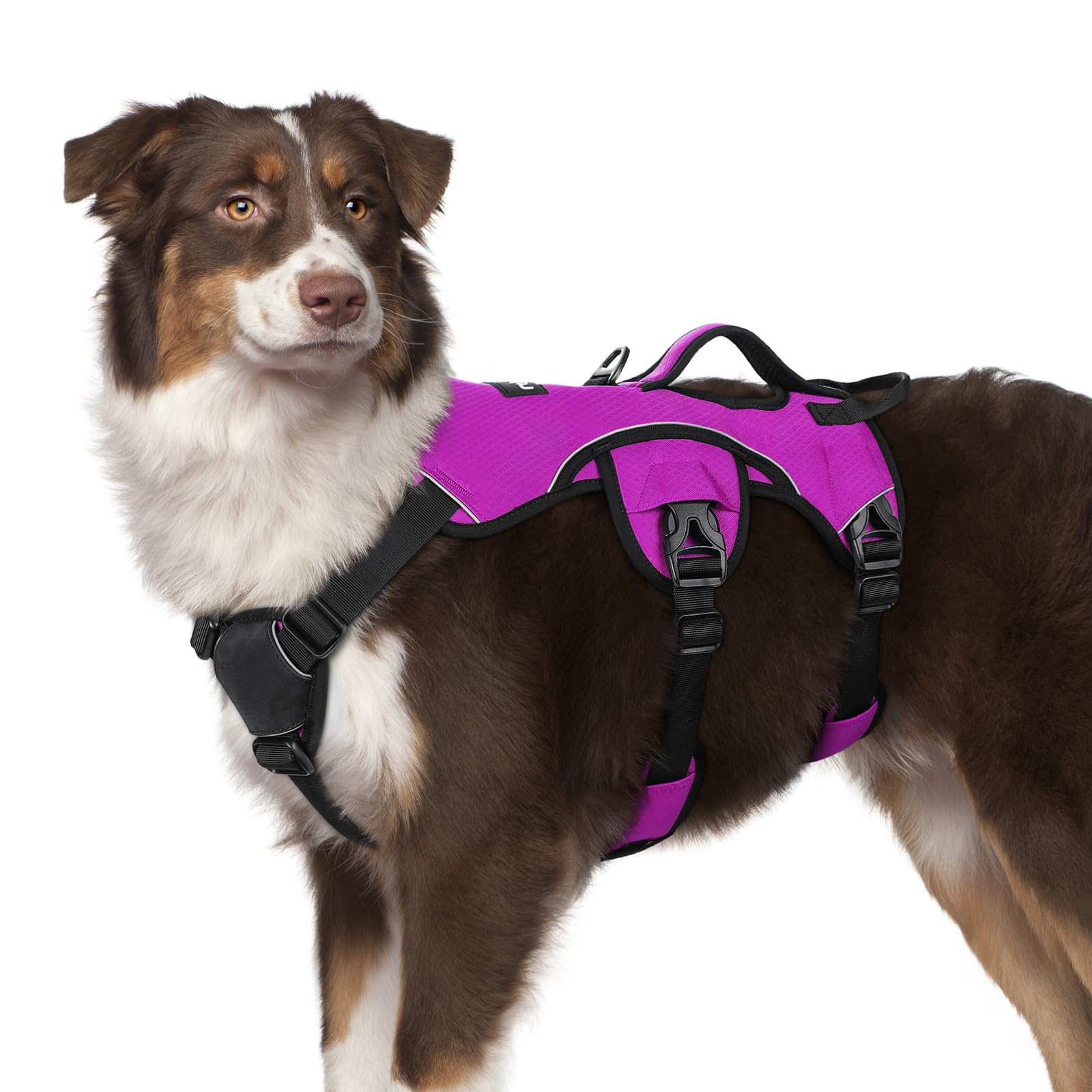 rabbitgoo Escape Proof Dog Harness, Soft Padded Full Body Pet Harness, Reflective Adjustable No Pull Vest with Lift Handle and Leash Clip for Large
