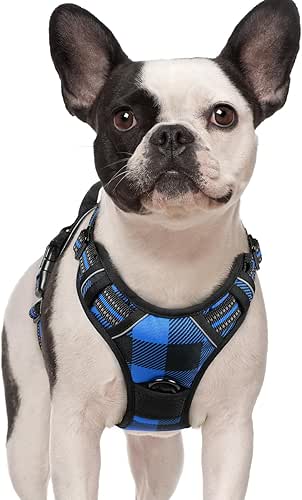 rabbitgoo Dog Harness No-Pull, Comfortable Padded Plaid Harness with Handle