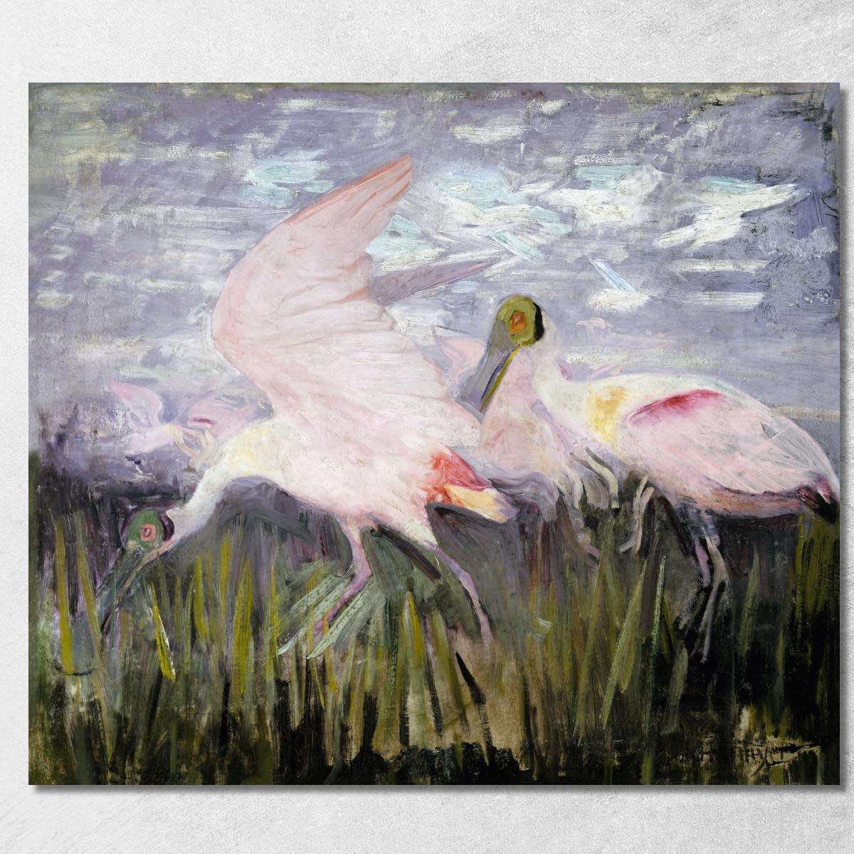 Toile Spatules Rosées Aht18 Abbott Handerson Thayer | Tableau Imprimé Encadré 50x45