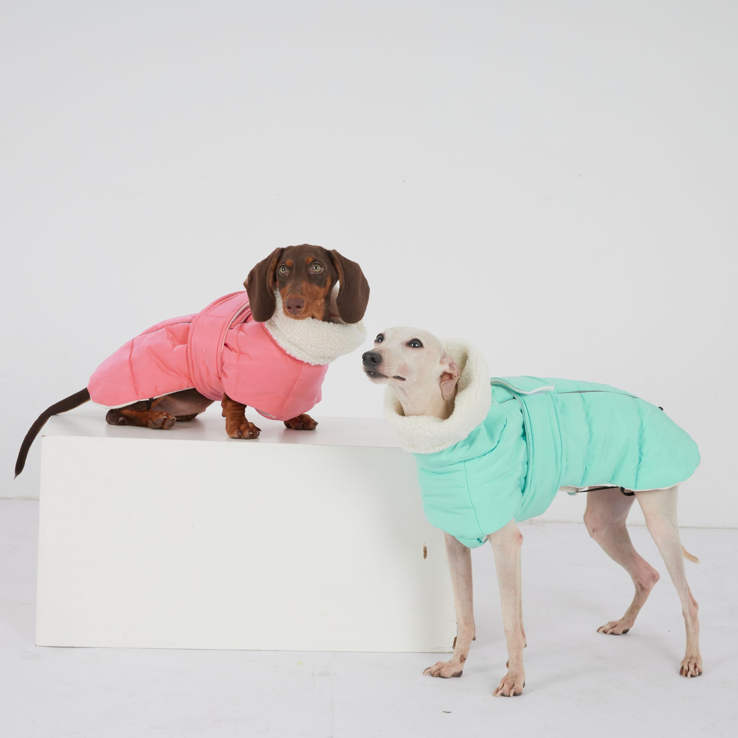 Veste d'hiver pour teckel et carillon éolien - Manteau imperméable avec doublure en polaire - Combinaison de neige rembourrée pour petits chiens (rose, M (6 à 9 kg)