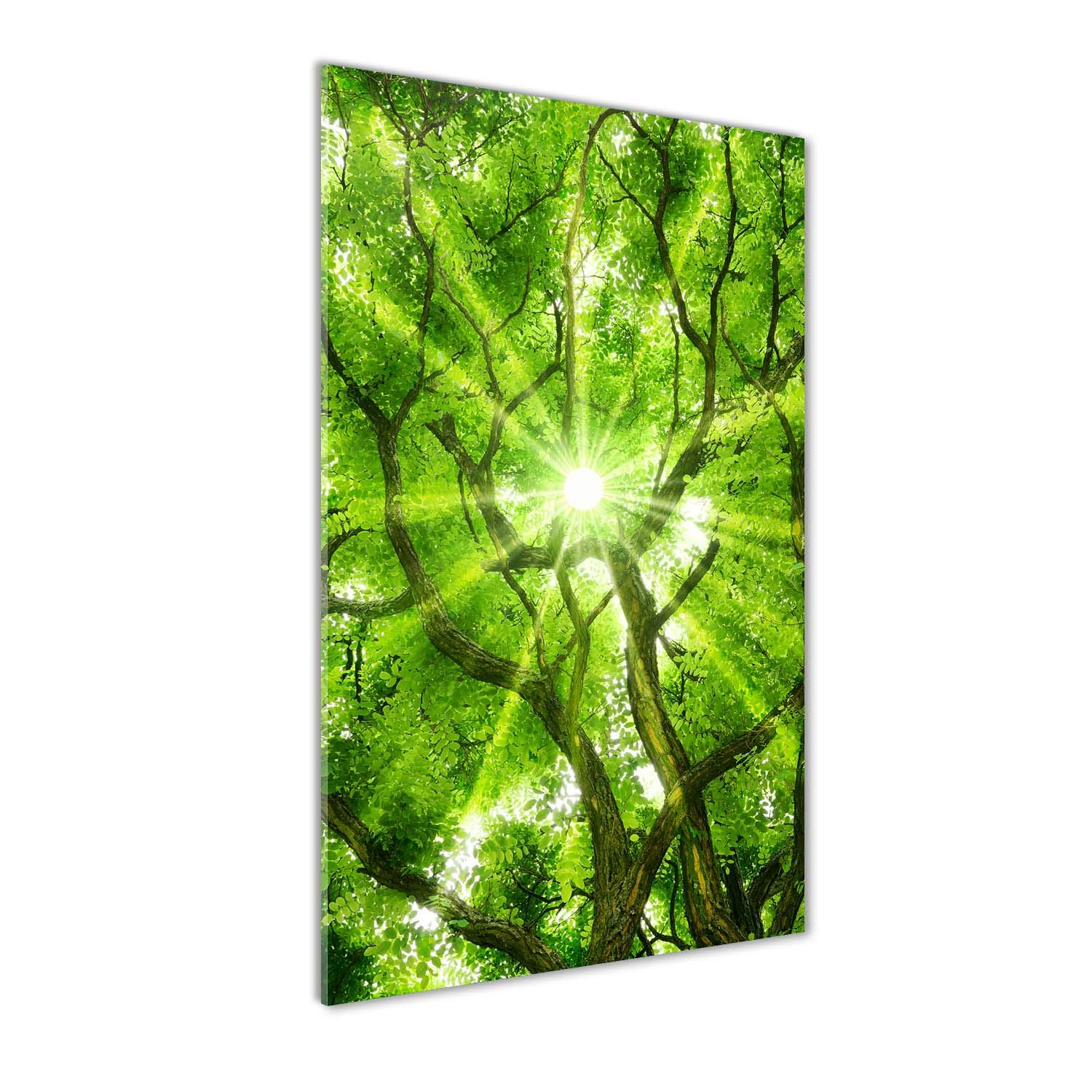 Couronne d'arbres vert clair sur tableau en verre panoramique 60x120 cm
