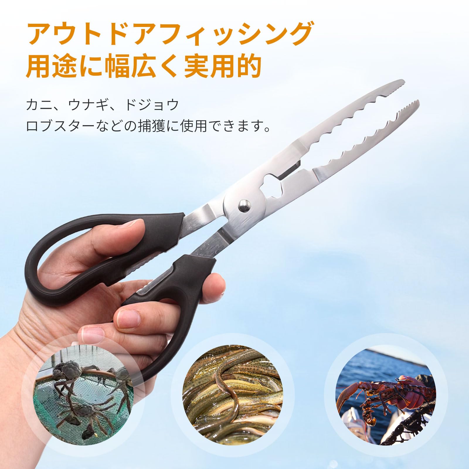 ヱヴァンゲリヲン 魚掴み器 ヱヴァンゲリヲン 魚掴み器 ヱヴァンゲリヲン 魚掴み器