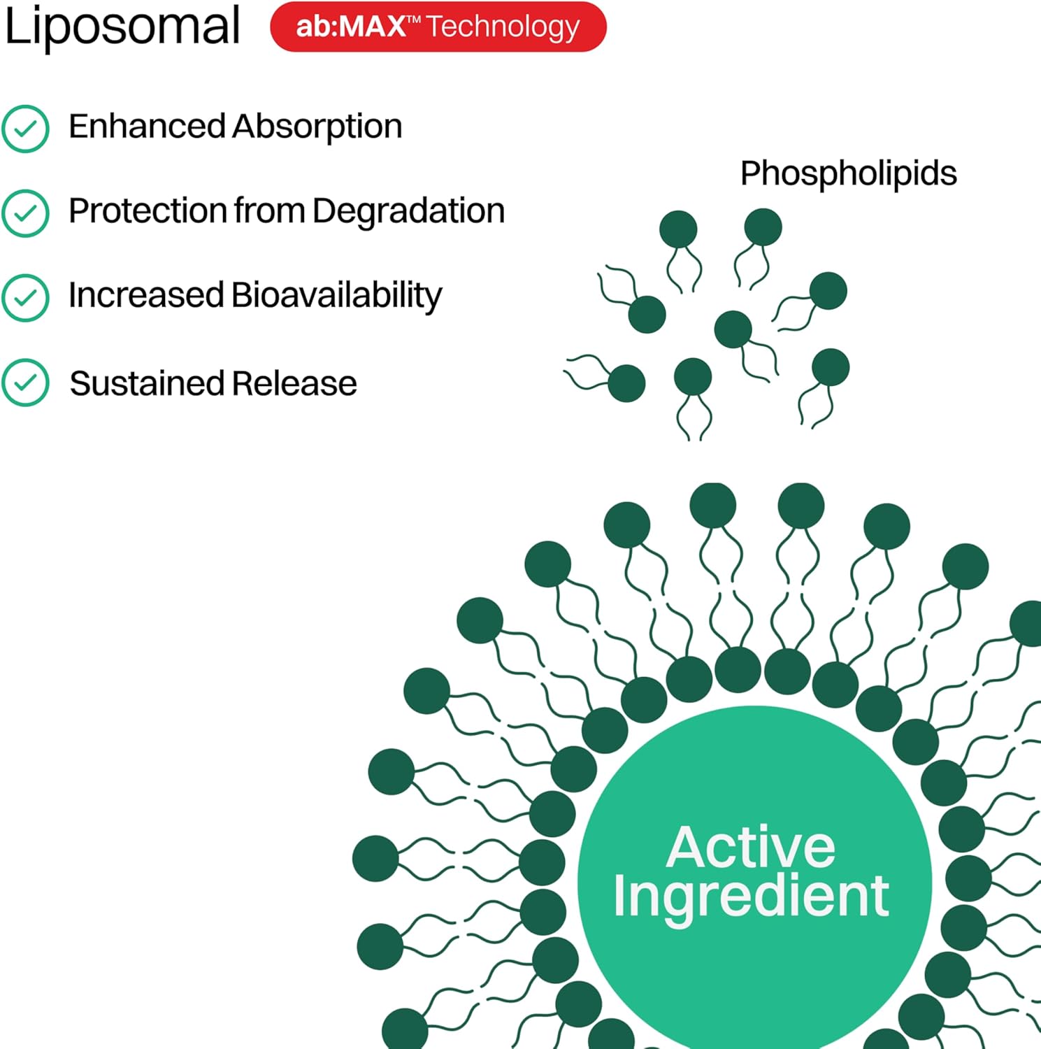 Liposomal Vitamin C Sugar-Free Gummies - 500mg, 60 Gummies, 30 Servings, Immunity Booster, Collagen Support, Antioxidant, Eco-Friendly Jar- Strawberry Guava Flavor - Image 5