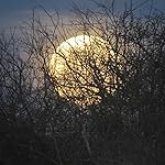 Review Image by Skylar Howell Skylar Howell