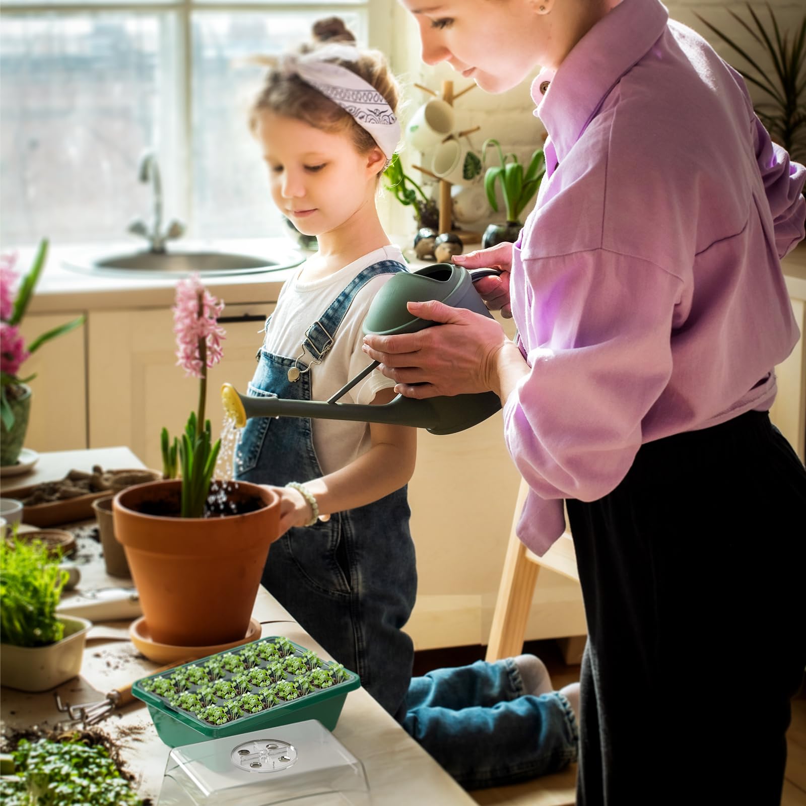 Plateau de démarrage de semences, 10 pièces, plateaux de démarrage de semis avec couvercles surélevés pour semis, plateaux de germination de plantes de jardinage d'intérieur (12 cellules par