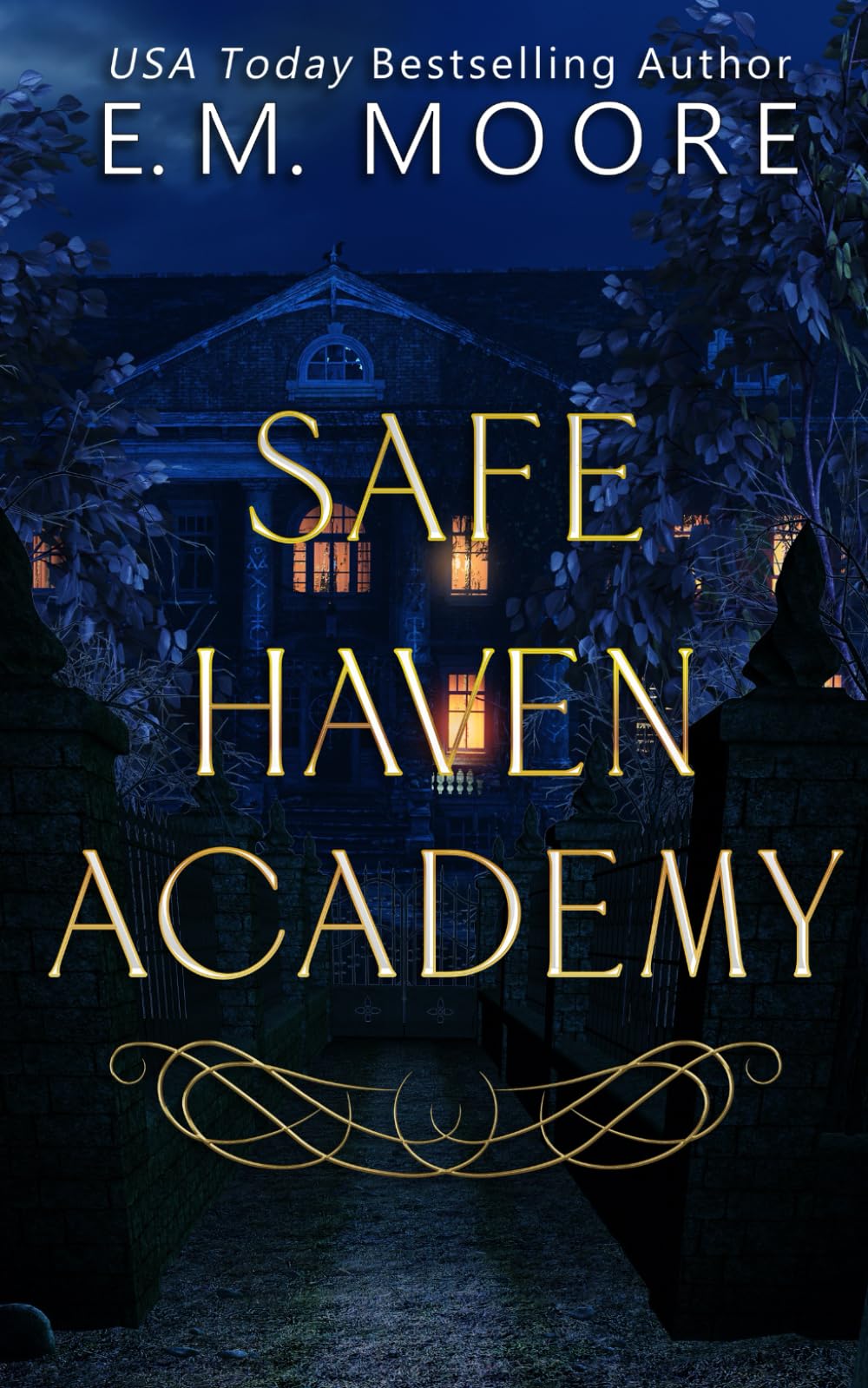 Safe Haven Academy: A Contemporary Reverse Harem Series