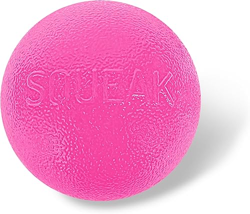 Planet Dog Orbee-Tuff Squeak Ball Pink Dog Fetch Toy