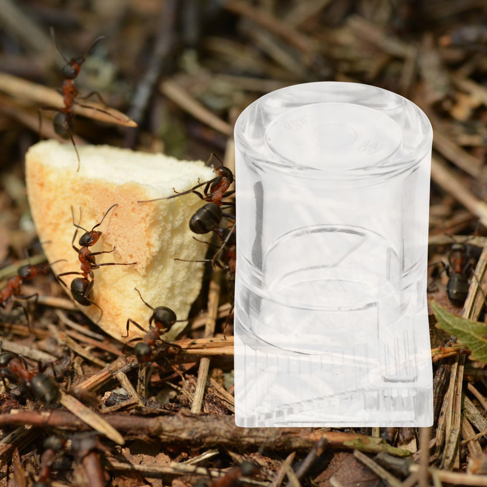 Kisangel Dispensador de Agua para Hormigas, Nido de Hormigas, de alimentación para Hormigas, Insectos, dispensador de Agua, dispensador de alimento para Hormigas, formicarium