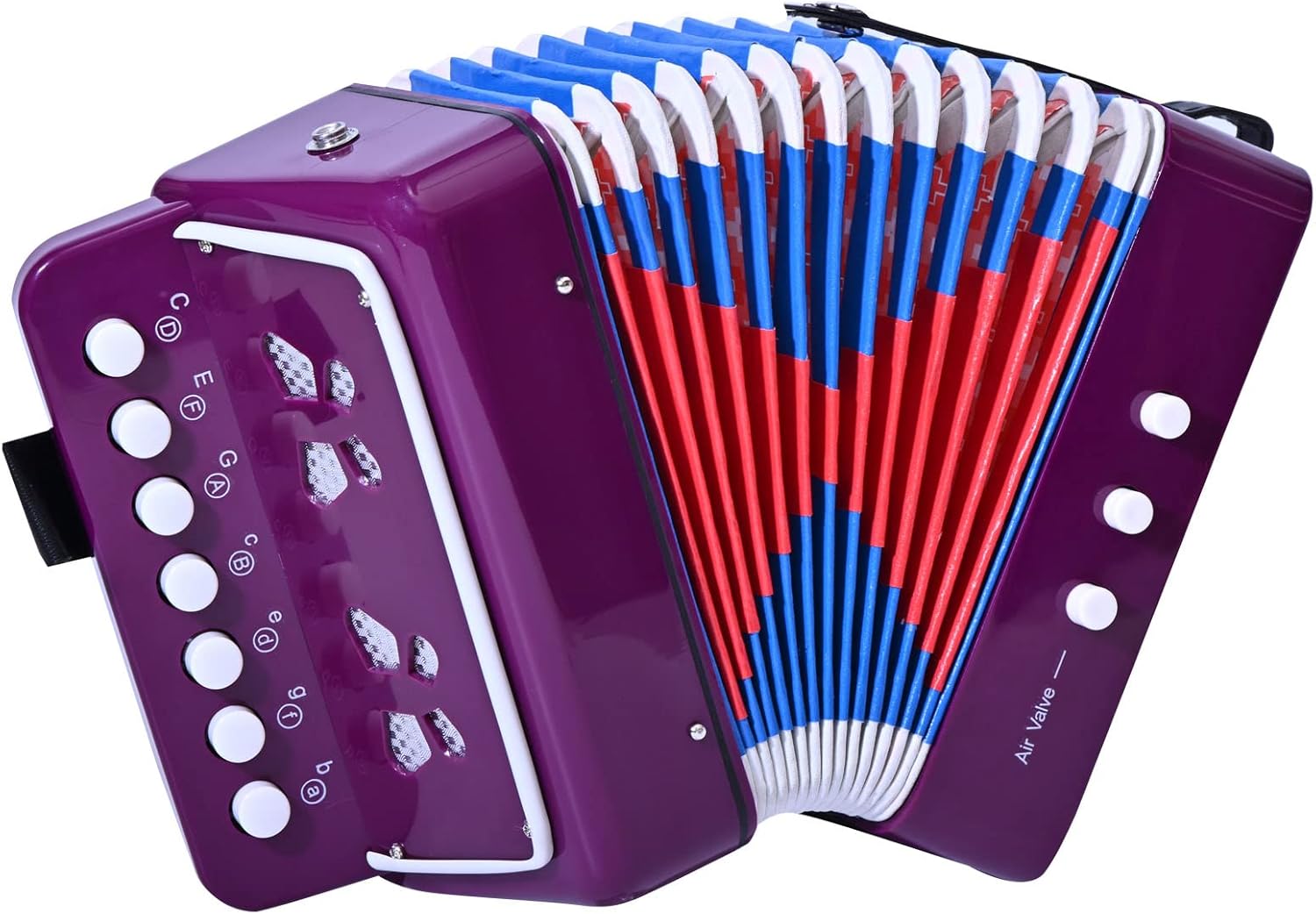 LIEKE Kids Accordion 10 keys Button Accordian,Musical Instrument,Mini Accordions Gift for kid
