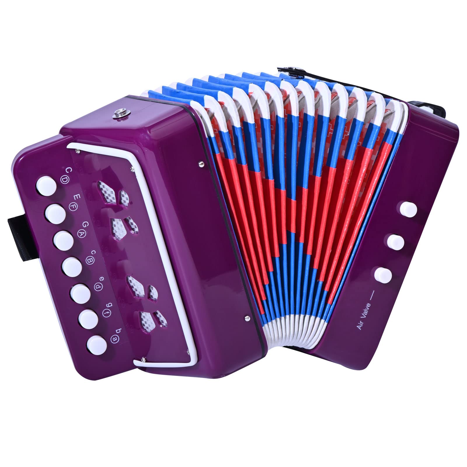 Buy button accordions Online in New Zealand at Low Prices at desertcart
