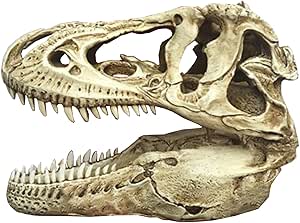Dinosaurus Beeld in Dierenverzamelingen Te Koop