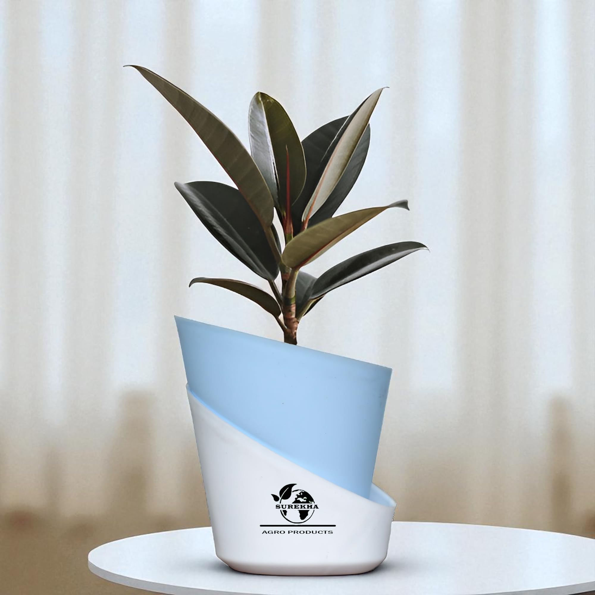 Surekha Ficus Elastica Red Rubber Plant with Self-Watering Pot | Air-Purifying Indoor Plant for Home & Office | Large Decorative Plant for Living Room & Gifting (Oval Sky Blue)-image-9