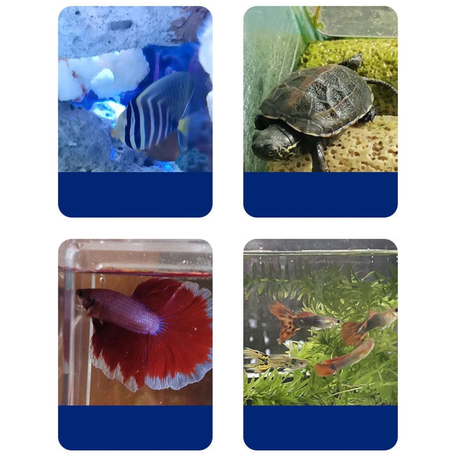 Juego de 5 calentadores automáticos termostáticos para acuario, 10 W