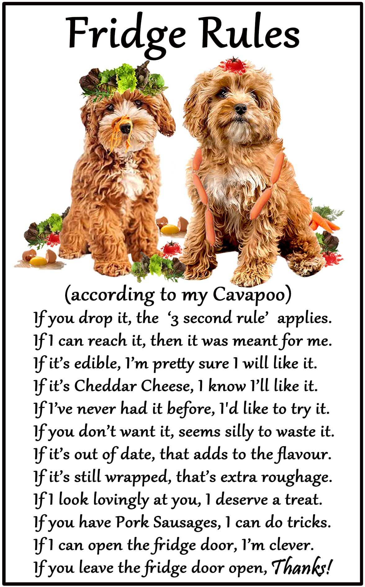 Fridge Magnets Brown, Black, And White Cavapoo Dog Gift - Fridge Rules - Large Fun Flexible Fridge Magnet- Size 16Cms X 10 Cms (Approx. 6" X4")