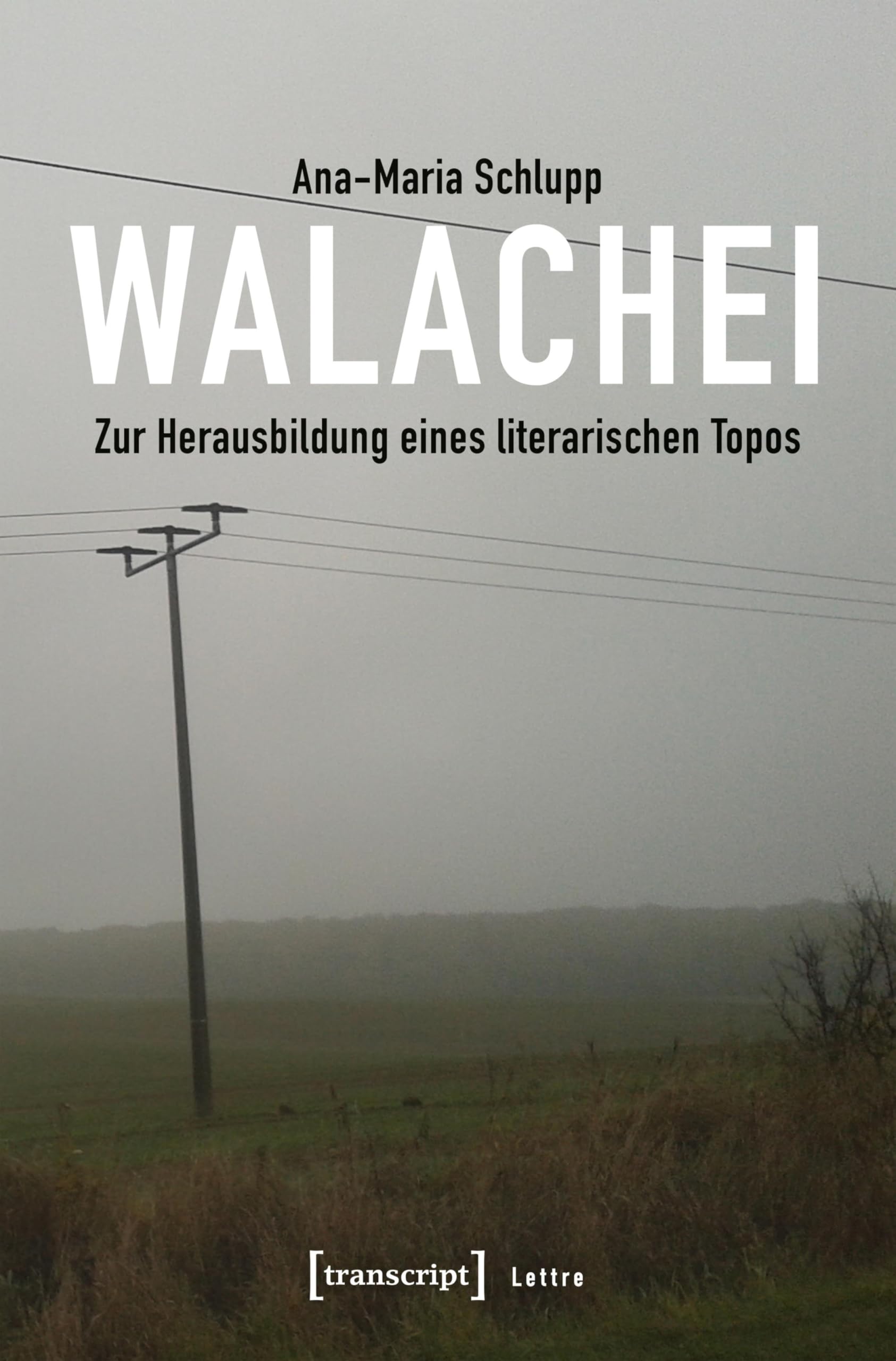 Walachei essai de littérature allemande collection Lettre