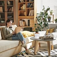 Vista 5 de Aceites Esenciales Difusores de Levona Scents: Aceite de Fragancia para Difusor - Aceites de Diffuser de Terciopelo Negro - Mezclas de Aceites