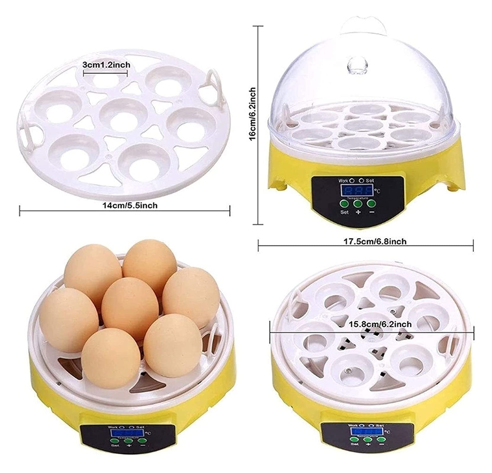 Amazon｜Egg Incubator 7 Egg Visible Designed Digital Poultry