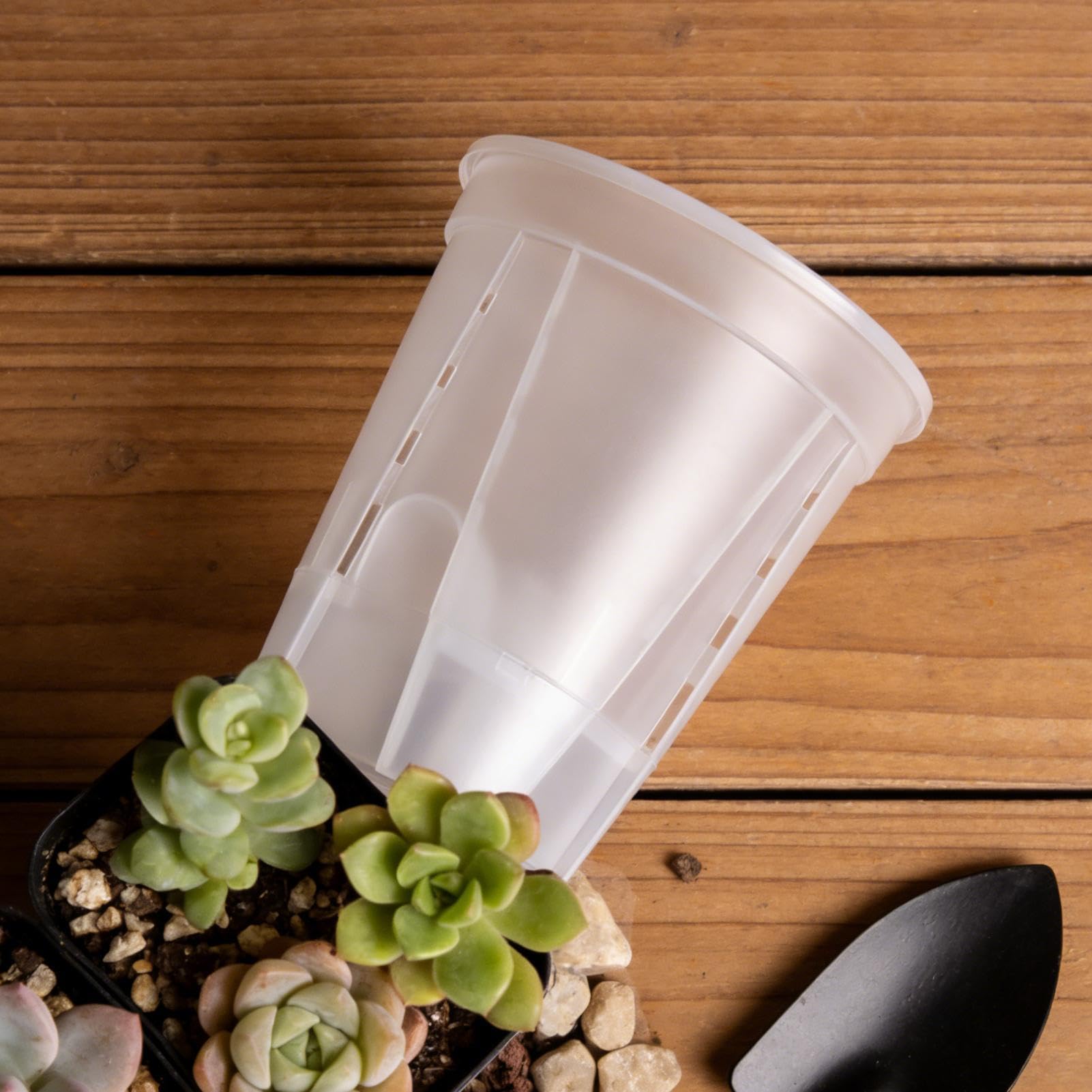 Lot de 5 pots de fleurs à arrosage automatique pour orchidées avec trou de
