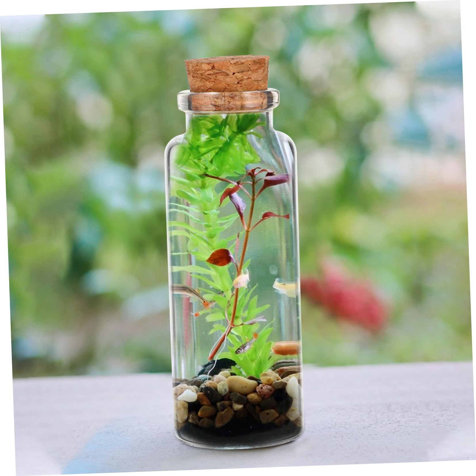 50 Pièces Lot Mini Bouteilles Verre avec Bouchon Liège Souple Fioles Décoratives Transparentes pour Messages Souvenirs et Loisirs Flacons Vides pour Mariage et