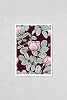 HardPress Wall Art Poster Print of Dogrose Seamless Background. Cassis Background. Botanical Illustration. Drawing