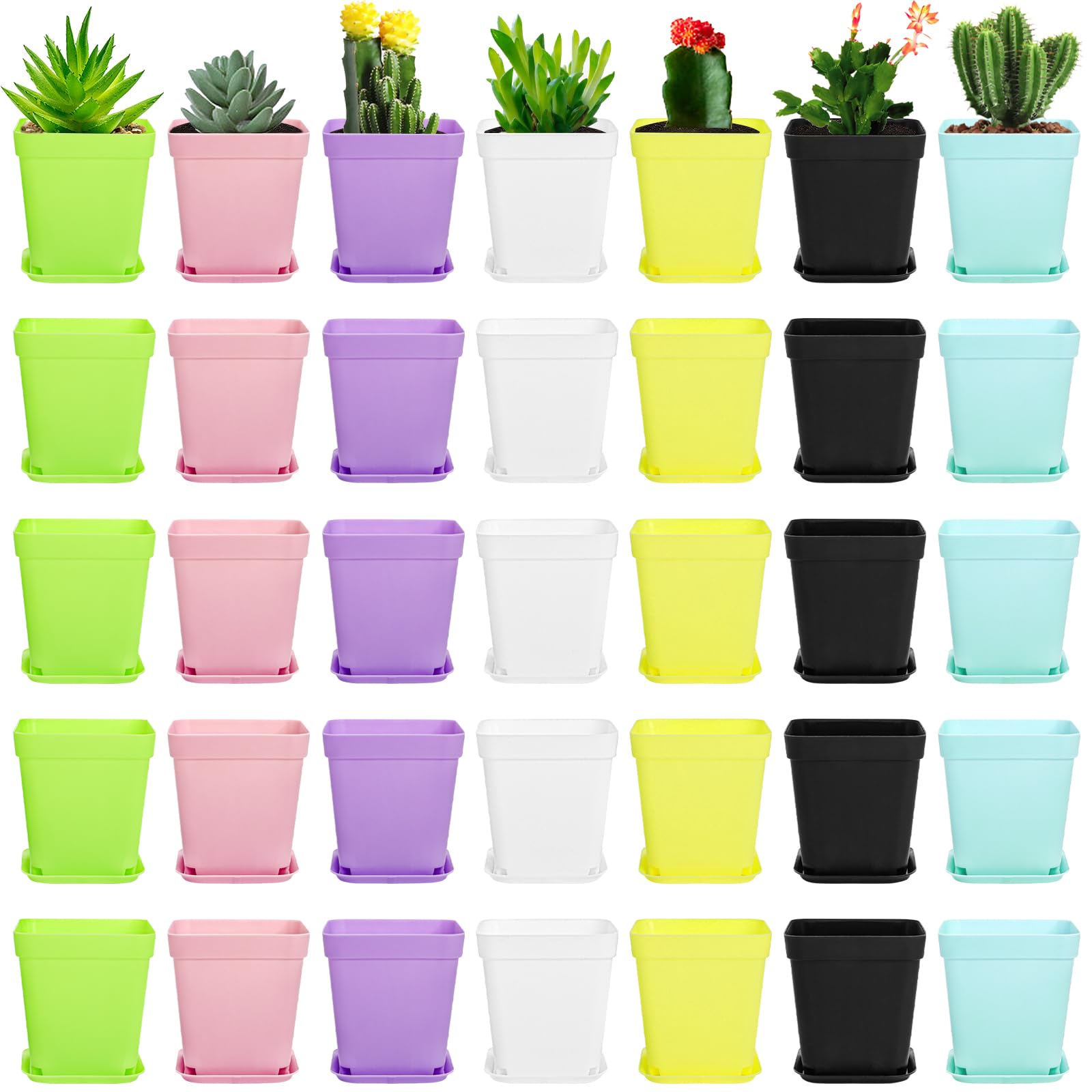 Hedume 70 Pack Mini Plastic Flower Seedling Nursery Pot with