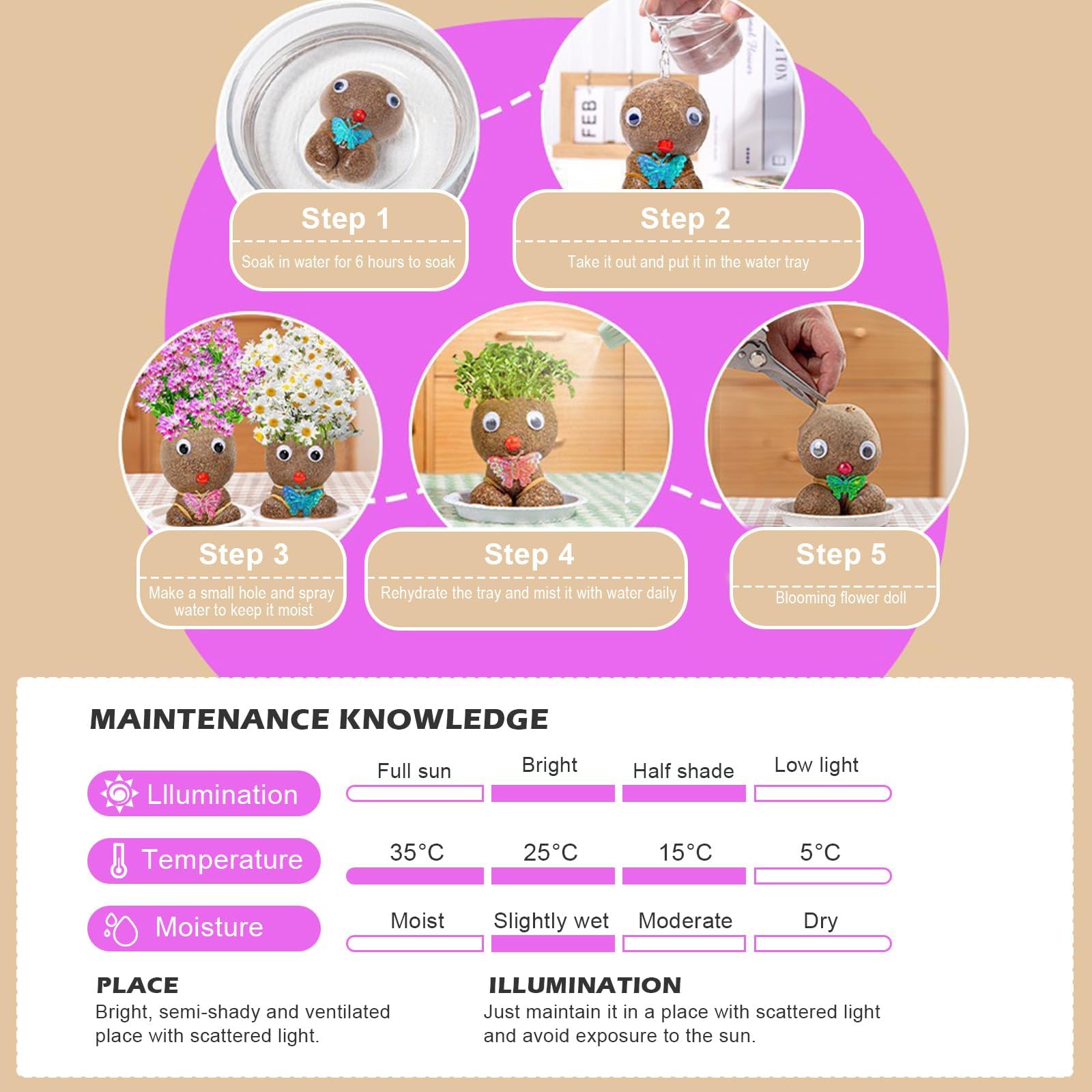 Tête d'herbe, tête de fleurs, tête d'herbe, plante de poupée, plante de poupée pour enfants, mini bonsaï herbe, tête de fleur, tête d'herbe, bonsaï, avec plateau, plantes en pot pour chambre