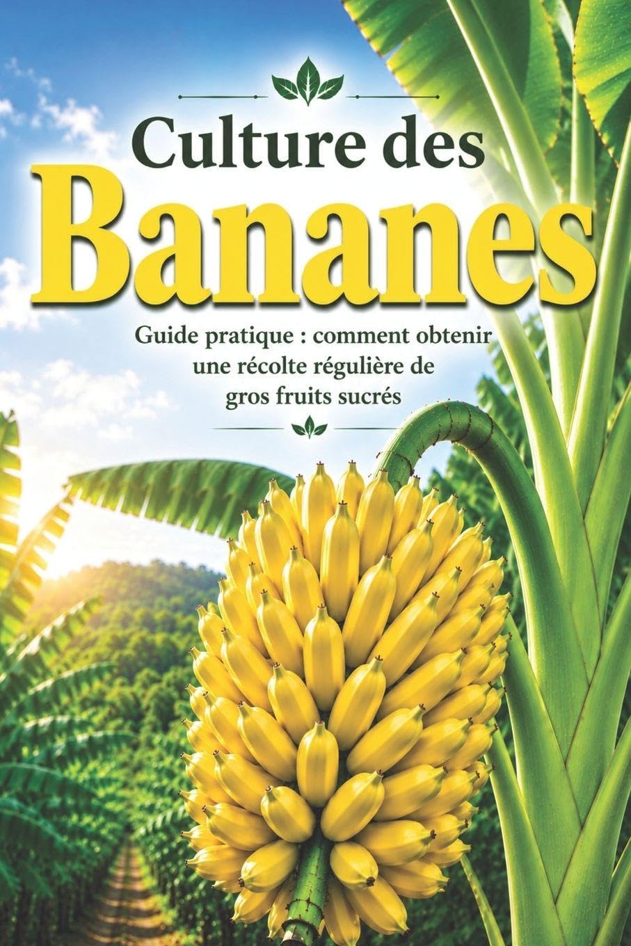 Culture des Bananes: Guide pratique : comment obtenir une récolte régulière de gros fruits sucrés