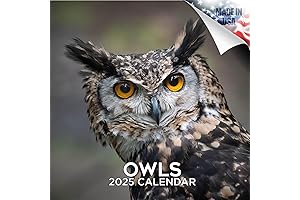 2024 2025 Owl Wall Calendar: Birds of Prey Wildlife Monthly Calendar